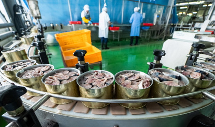 أوكرانيا تعمل على رفع احتياطي منتجات الاسماك لتخزينها فترات طويلة