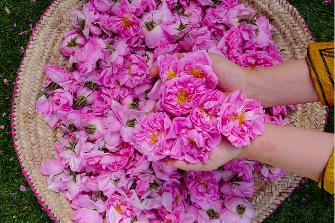الطائف مدينة الورد تطلق مهرجان الزهور السنوي
