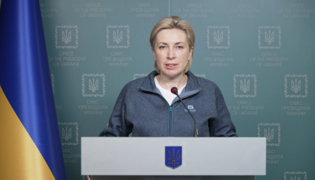 نائب رئيس الوزراء إيرينا فيريشوك