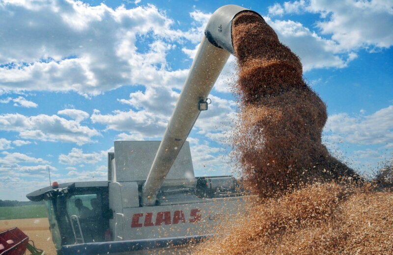 أوكرانيا تواجه مشاكل كبيرة في تصدير منتجاتها من الحبوب