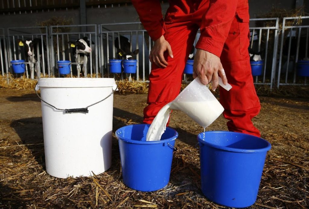 أوكرانيا لن تقيد صادرات الحليب بسبب الحرب