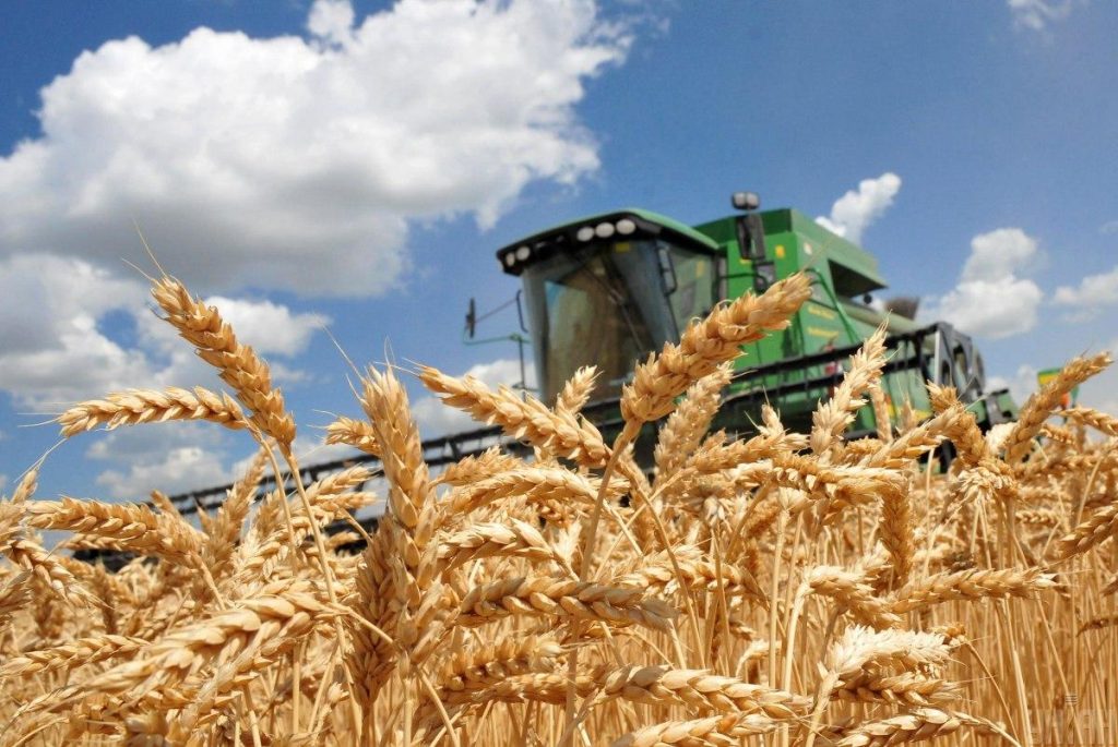 وزارة السياسة الزراعية..لا بديل للعالم عن المنتجات الزراعية الأوكرانية ما هو السبب؟