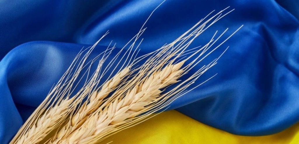 أزمة الحبوب في أوكرانيا