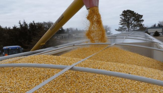 أوكرانيا تصدر حوالي 1.5 مليون طن من الحبوب شهريًا برًا