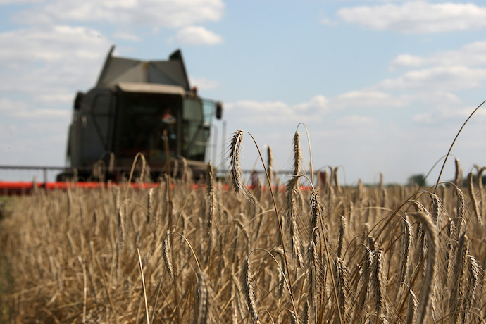 أوكرانيا تفقد 25 بالمئة من أراضيها الزراعية بسبب الحرب