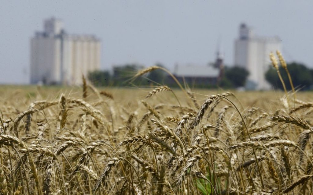 أوكرانيا تصدر 30٪ من حجم المنتجات الزراعية قبل الحرب