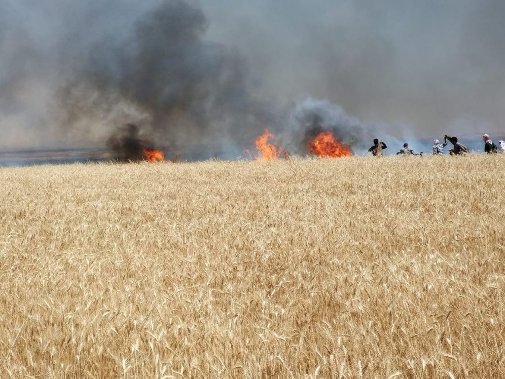 القوات الروسية تشعل النيران بحقول القمح
