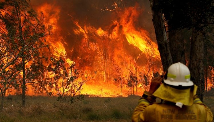 المئات من رجال الإطفاء يكافحون لإخماد حرائق البرتغال