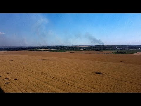 المزارعون الأوكرانيون يشعرون بالقلق مع بدء موسم حصاد الحبوب في ظل الحصار الروسي