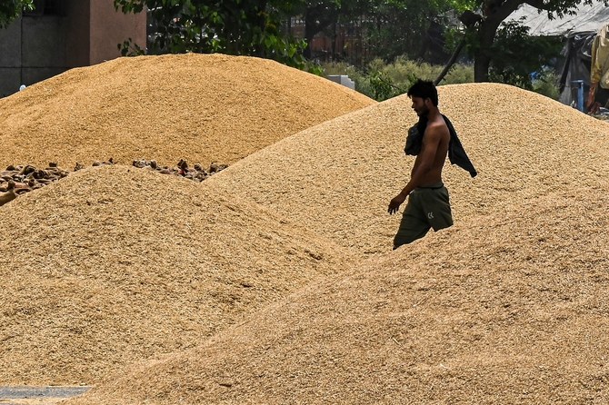الهند تضع قيود على تصدير دقيق القمح