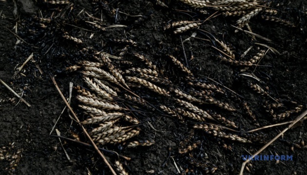 اندلاع حريق في حقول القمح جراء قصف العدو لمنطقة خاركيف