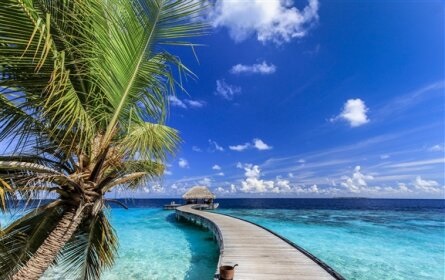 جزر المالديف.