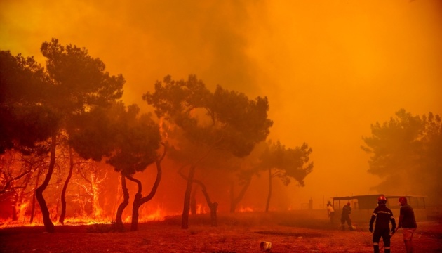 حرائق الغابات في اليونان تم إجلاء الناس في جزيرة ليسفوس