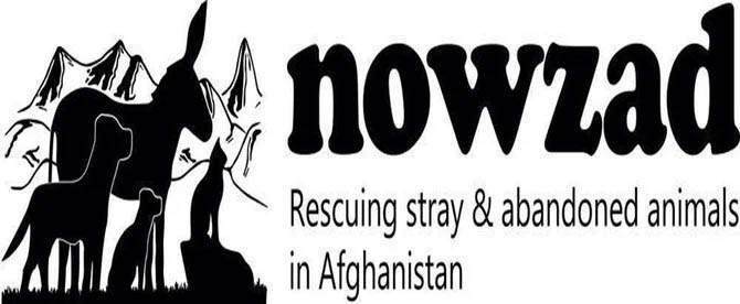 حكومة المملكة المتحدة تعترف بأخطاء في قضية جمعية خيرية للحيوانات الأفغانية