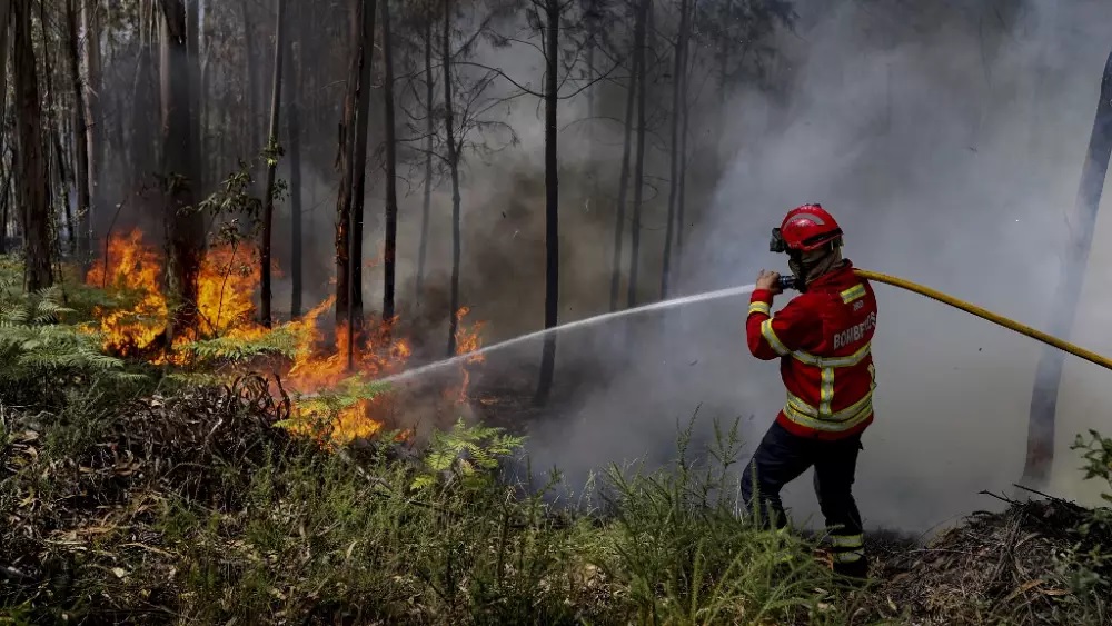 رجال الإطفاء في وسط البرتغال يكافحون حرائق الغابات