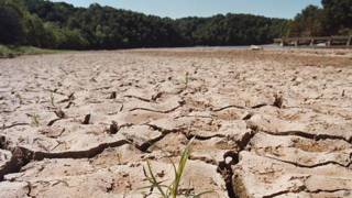 مياه دلتا مولدوفا تتبخر ورومانيا تواجه الجفاف الشديد