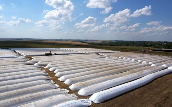 وزارة السياسة الزراعية سيتم تزويد أوكرانيا بمعدات خاصة للتخزين المؤقت للحبوب