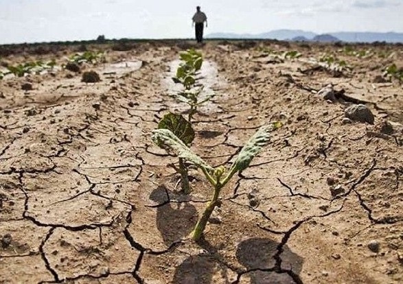 الجفاف يهدد 60٪ من أراضي الاتحاد الأوروبي وبريطانيا العظمى