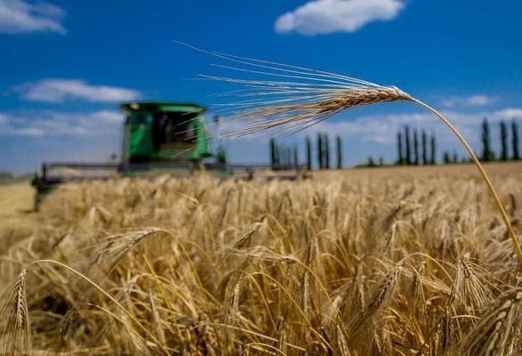 الحكومة الاوكرانية تخصص 1.5 مليار غريفنا لدعم المزارعين