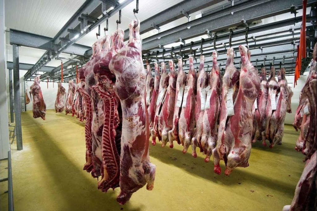 انخفاض أسعار اللحوم عالميا