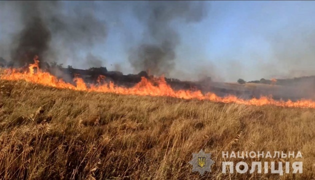 اندلاع حريق في 70 هكتاراً من القمح نتيجة القصف الروسي في زابوريزجيا