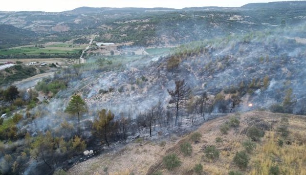 حريق غابات واسع النطاق في تركيا