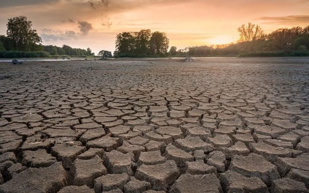 كيف سيؤثر الجفاف القياسي في أوروبا على الاقتصاد العالمي