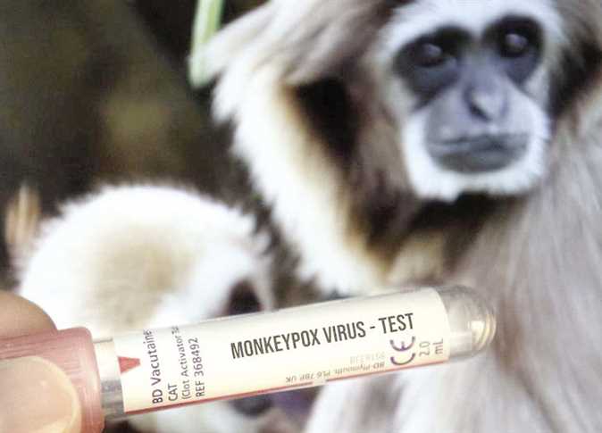 منظمة الصحة العالمية تعلن انخفاض كبير في عدد الإصابات بجدري القرود