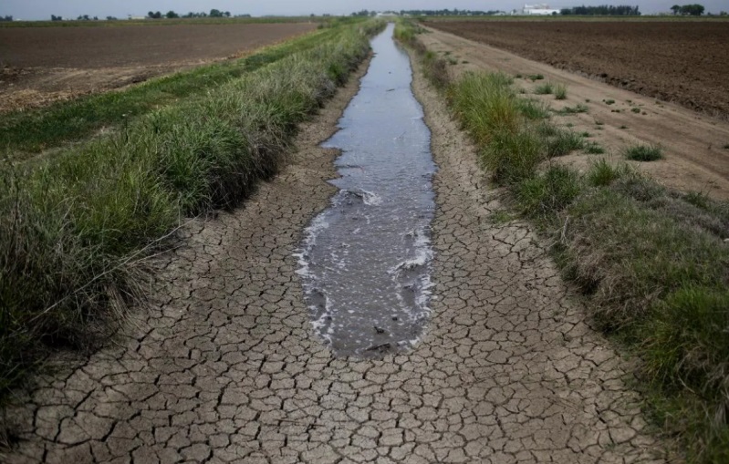 يوليو الأكثر جفافا يهدد محاصيل أوروبا.
