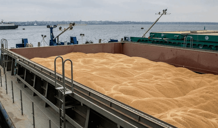 تصدير 3 ملايين طن من المنتجات الزراعية عبر ممر الحبوب