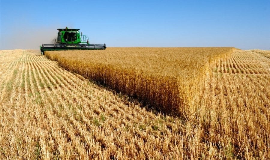 أوكرانيا تخصص 50 ألف طن من القمح كمساعدات إنسانية لإثيوبيا والصومال