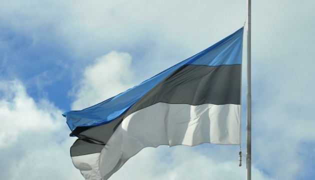 إستونيا لا تعترف بنتائج الاستفتاءات الروسية