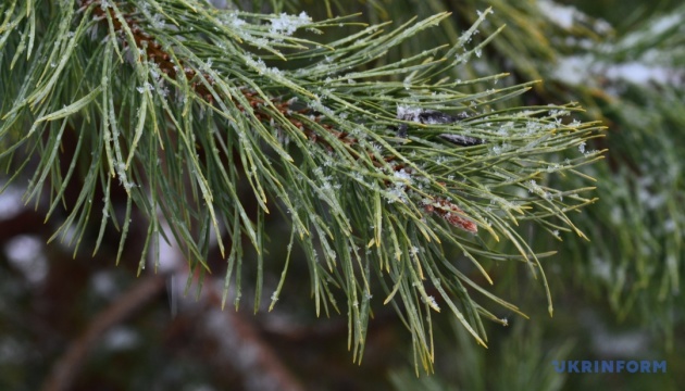 طقس مستقر وبارد في عيد الميلاد: أوكرانيا بلا أمطار ودرجات الحرارة تهبط إلى -6 .
