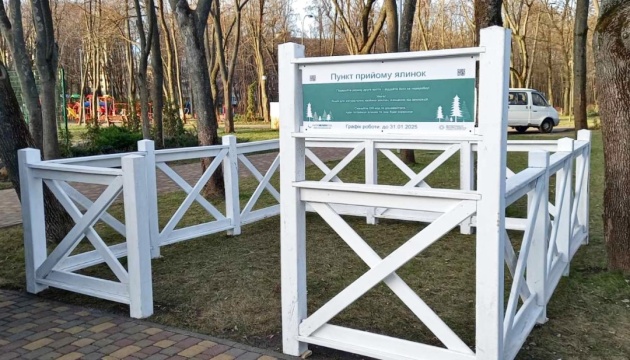 كييف تفتح 72 نقطة لإعادة تدوير أشجار عيد الميلاد حتى نهاية يناير