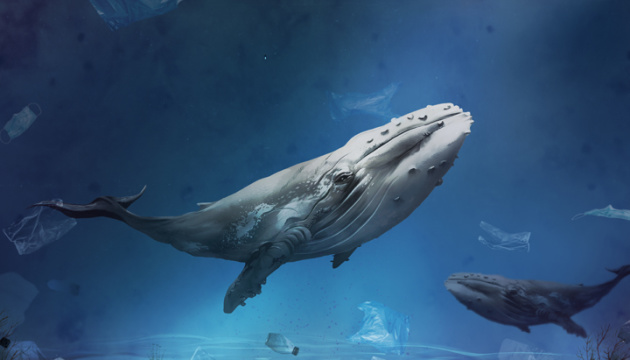 طائرات بدون طيار تصطاد الفيروسات بين حيتان القطب الشمالي